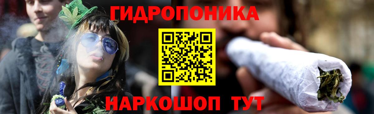 Конопля конопля Кудрово