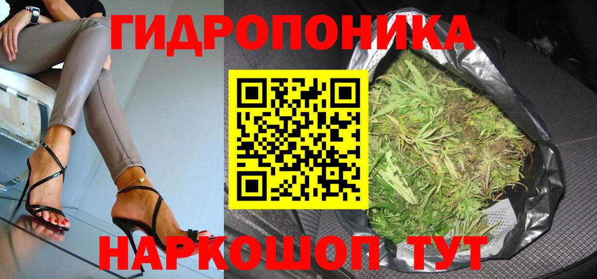 Канабис Ganja  Канабис Amnesia  Конопля AK-47  Кудрово  Каннабис Ganja  Вход с VPN 